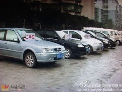 绿化道变经营地，宜宾翠柏大道的“后台”之谜